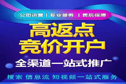 SEM主管实战案例：广告投放策略优化